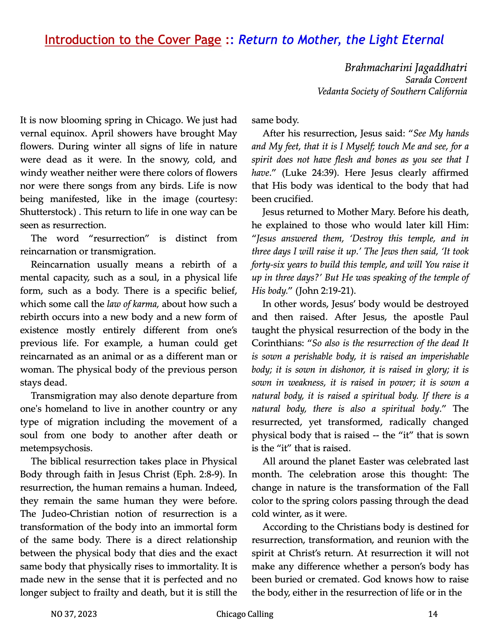Chicago Calling ezine